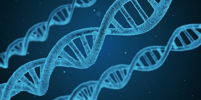 DNA řetězec